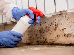 Best Residential Mold Inspection & Testing  in Stillwater, MN